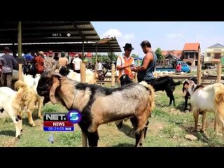 Beli Hewan Kurban 3 Bulan Sebelumnya di Cimahi - NEt5