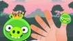 Angry Birds Bad Piggies Finger Family | Finger Family Rhymes for Children