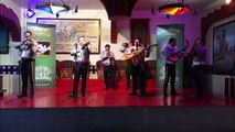 Mariachis en Venustiano Carranza Tel. 38726979