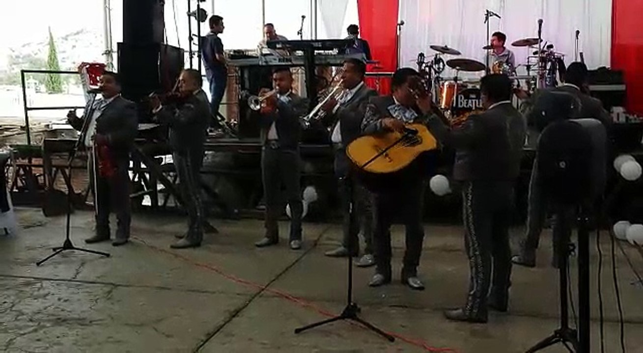 Mariachis en Xochimilco Tel. 24527840