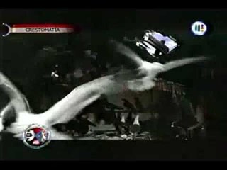 Extra Normal, Objetos y Animales Poseídos