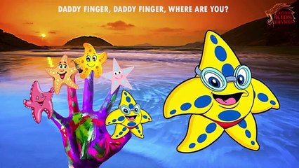 Star Fish Finger Family | Star Fish Cartoon Finger Family | Animal Finger Family