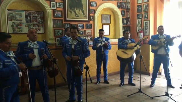 Mariachis en Naucalpan Tel. 24588937 Serenatas