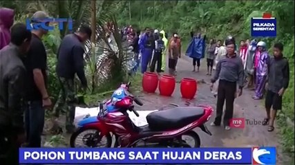 Hujan Deras, Tiga Pengendara Motor Tertimpa Pohon Tumbang