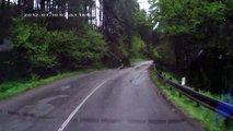 Des arbres tombent sur une voiture