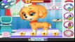 My Cute Little Pet - Kids Learn To Take Care of Cute Little Puppy - Pet Care Kids Games By Gameiva