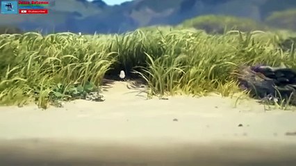 Piper Disney Pixar - That was so cute Bird