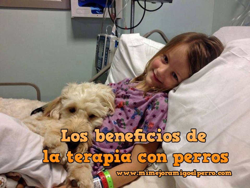 ​Los beneficios de la terapia con perros