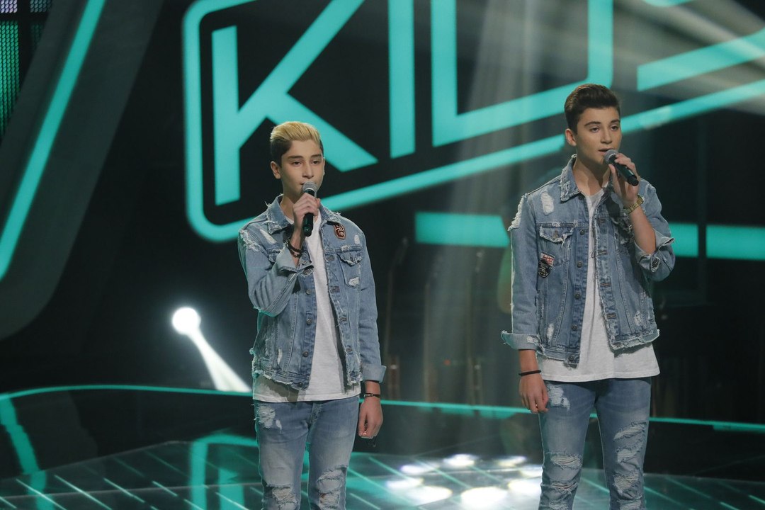 Roman & Michael: Little Things - (Blind Audition II) The Voice Kids 2017 | SAT1.DE