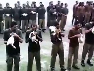 Pakistan’s SSG Commandos Eating R-a-w M-eat And Drink Chicken’s B-lo-od