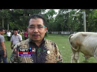 Download Video: Pelatihan Menyembelih Hewan Kurban - NET12