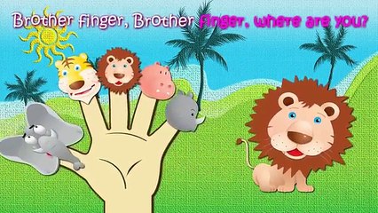 Wild Animals Finger Family Nursery Rhymes Lyrics