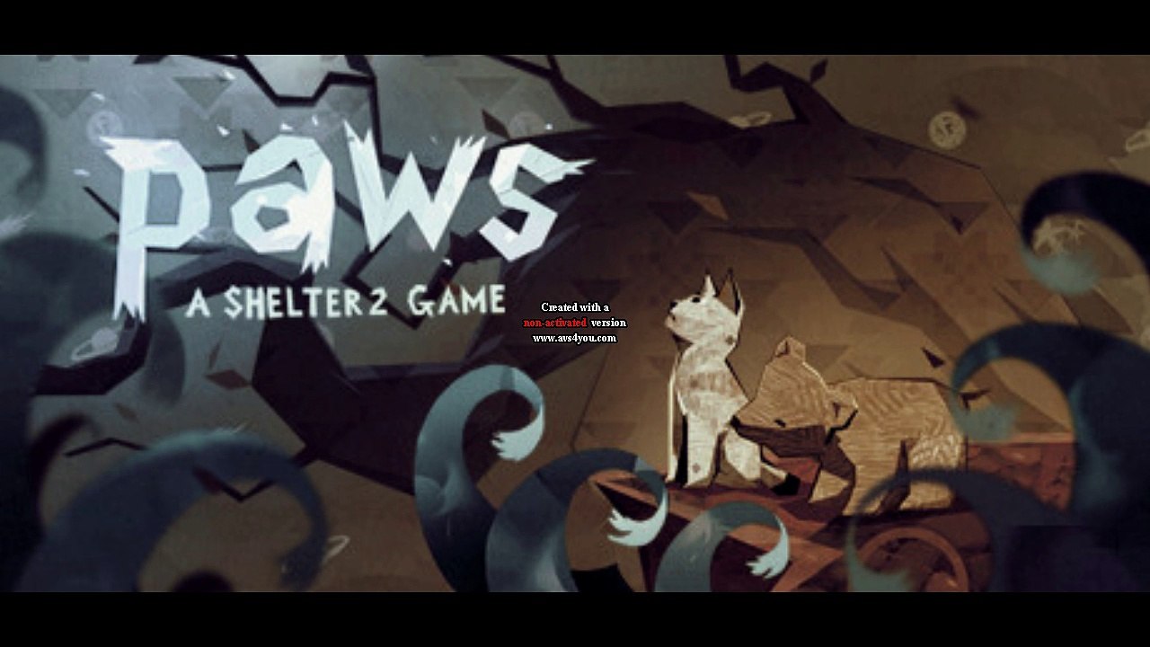 Paws-Footprints