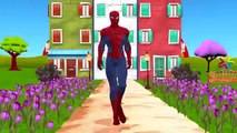Spiderman Cartoon Finger Family Rhymes And Ding Dong Bell Nursery Rhymes For Children
