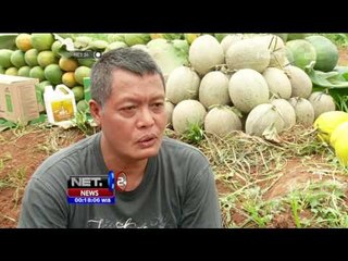 Sekolah Tani Urban Edukasi Masyarakat Menjadi Agripreneur Dari Lahan Kota Terbatas - NET24