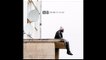 KeBlack - T’es à moi - Premier Etage (Album)