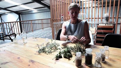 Dans les bars du Cap, la fureur du gin made in South Africa