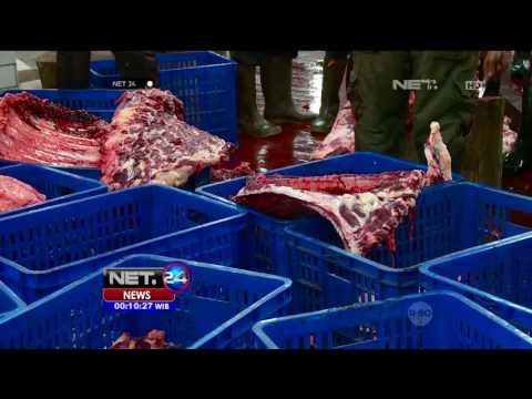 25 Sapi dan 16 Kambing Disembelih di Istiqlal - NET24