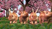 Learn Wild Animals - 3D Animation Nursery Rhymes - Kids Learning Domestic Animals