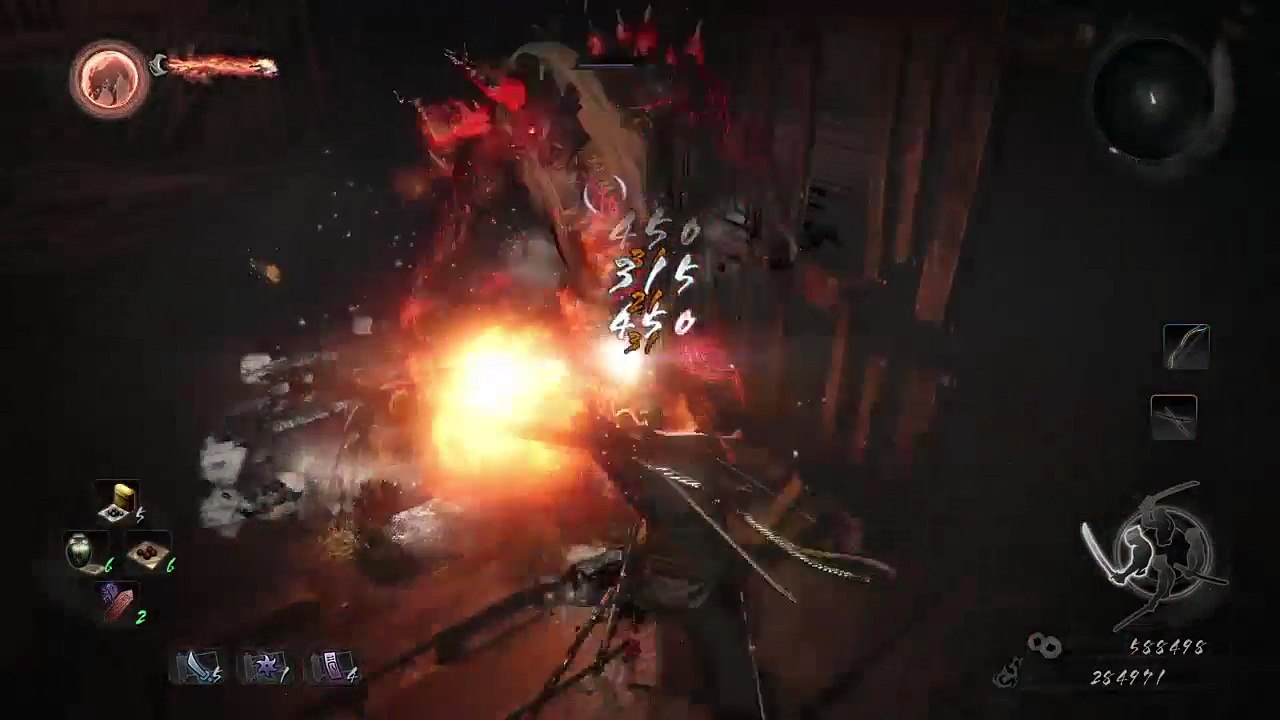 Nioh (144)
