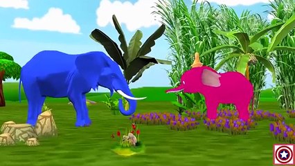 Learn Color Domestic Animals Names For Children | Animals Finger Family Songs For Kids