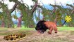 Lion Vs Python 2 Animals Attacks | Lion Attacks The Python 2 Kids Nursery Rhymes