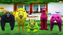 Tigre Vs Gorila Rimas infantiles de la Colección || Animación en 3d de la Canción Para Niños de Rimas