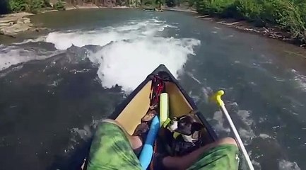 Epic Dog Fail | Leap Out of Canoe