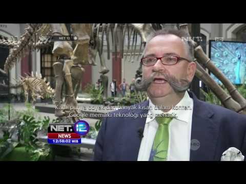 Jerapah Purba Hadir di Museum Sejarah di Jerman - NET12