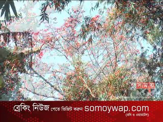 শীতের রিক্ততা শেষে ঋতুরাজ বসন্তের আগমন