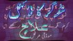 Suger ka Desi ilaj  Diabetes Treatment Suger Ka Desi ilaj شوگر کا دیسی علاج In Urdu youtube