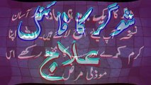 Suger ka Desi ilaj  Diabetes Treatment Suger Ka Desi ilaj شوگر کا دیسی علاج In Urdu yo