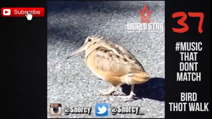 #17 WorldStar Vine Comp ★ WSHH ★ WorldStarHipHop