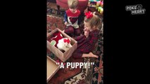Kids React to a Sweet Surprise Puppy Gift Video 2017 _ Daily Heart Beat-MkHsiWcy-XA