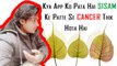 Kya App Ko Pata Hai SISAM Ke Patte Se CANCER Thik Hota Hai