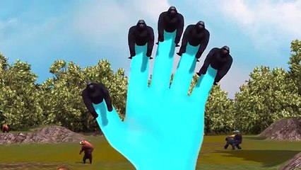 Gorilla 3D Finger Family Rhymes Top 10 Finger Family Rhymes 3D Animal Songs