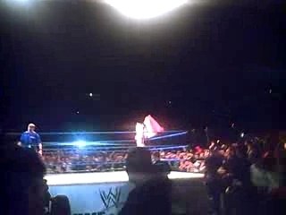 WWE SMACKDOWN LIVE TOUR BERCY ENTREE TORRIE WILSON