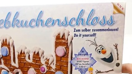 Frozen Elsa DIY Gingerbread Castle Disney DIY How To Make Lebkuchen Schloss