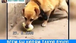 Всем бы людям такую душу!!