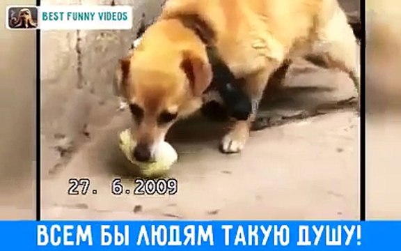 Всем бы людям такую душу!!