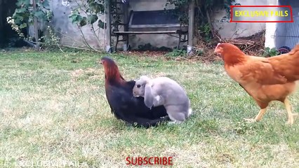 FAILS OF THE WEEK January Week 1 2017 Funny Fail Compilation  Funny Bloopers