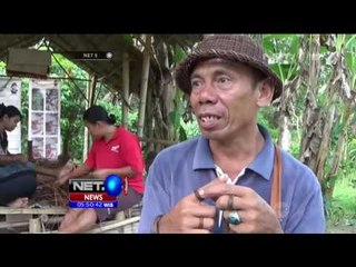 Download Video: Aneka Aksesoris dari Tumbuhan Liar - NET5