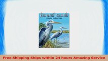 Kiawah Island South Carolina  Blue Herons 24x36 Giclee Gallery Print Wall Decor Travel 791c6ec9