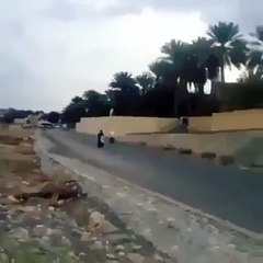 Harbiden helal olsun