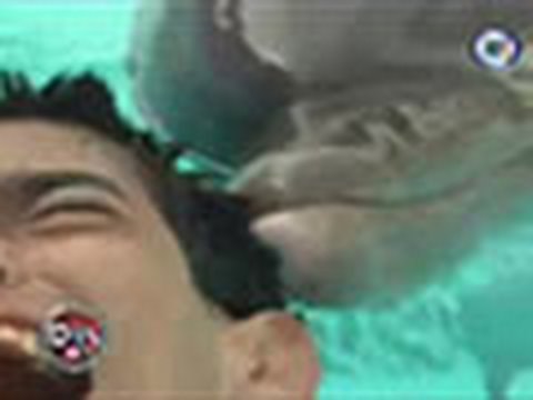 El poder de la Terapia con Delfines