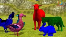 Colors Dinosaurs Cartoons Movie For Children | Rainbow Colors Dinosaur Animals Videos in 3D