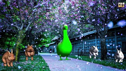 Finger Family | Duck Finger Family Nursery Rhymes For Songs