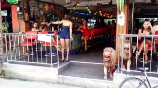 The Street with most attractive Women on a Place  Pattaya 2015 ☆