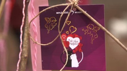 Mehtap Bayri: 'aşıklar Şehri Beylikdüzü Mesafe Tanımaz?