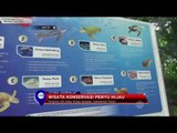 Wisata Konservasi Penyu Hijau - NET 10